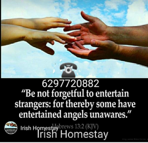 Irish homestay